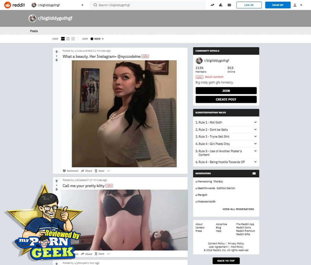 Big Tiddy Goth GF: XXX Busty Goth Amateurs at /r/BigTiddyGothGF